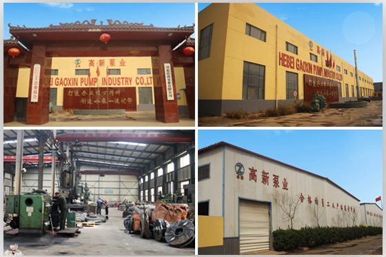 1527206928132081_gy.jpg gy.jpg